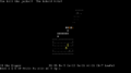 Screenshot zu Nethack